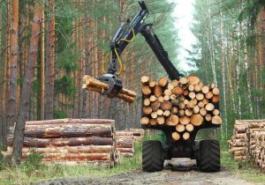 ENVI Inform en acción - Monitoreo de la deforestación en Chile