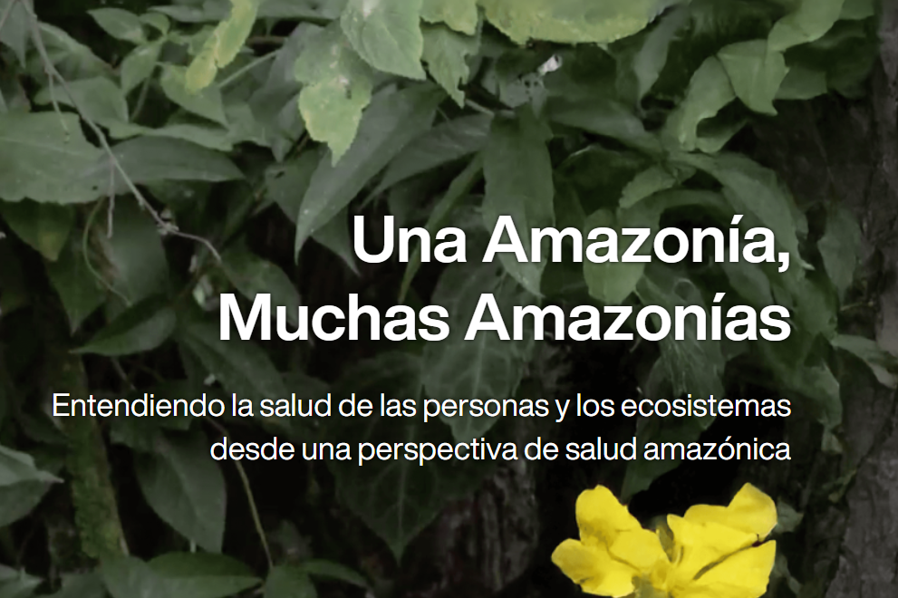 Una Amazonía, Muchas Amazonías